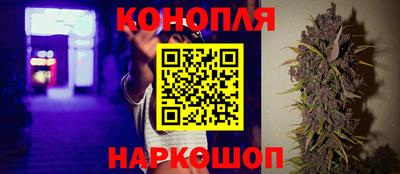 PSILOCYBIN Кунгур
