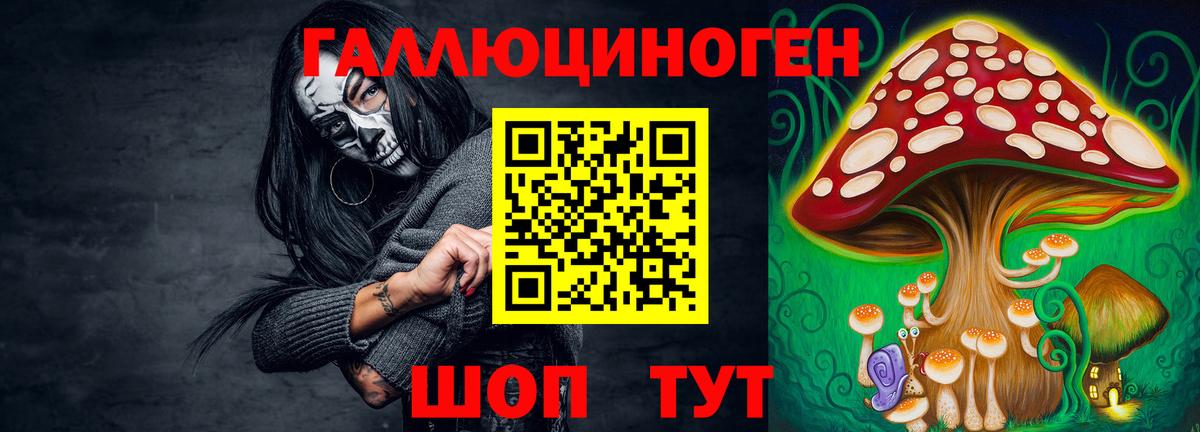 Энгельс  Галлюциногенные грибы Psilocybe  Вход с VPN 